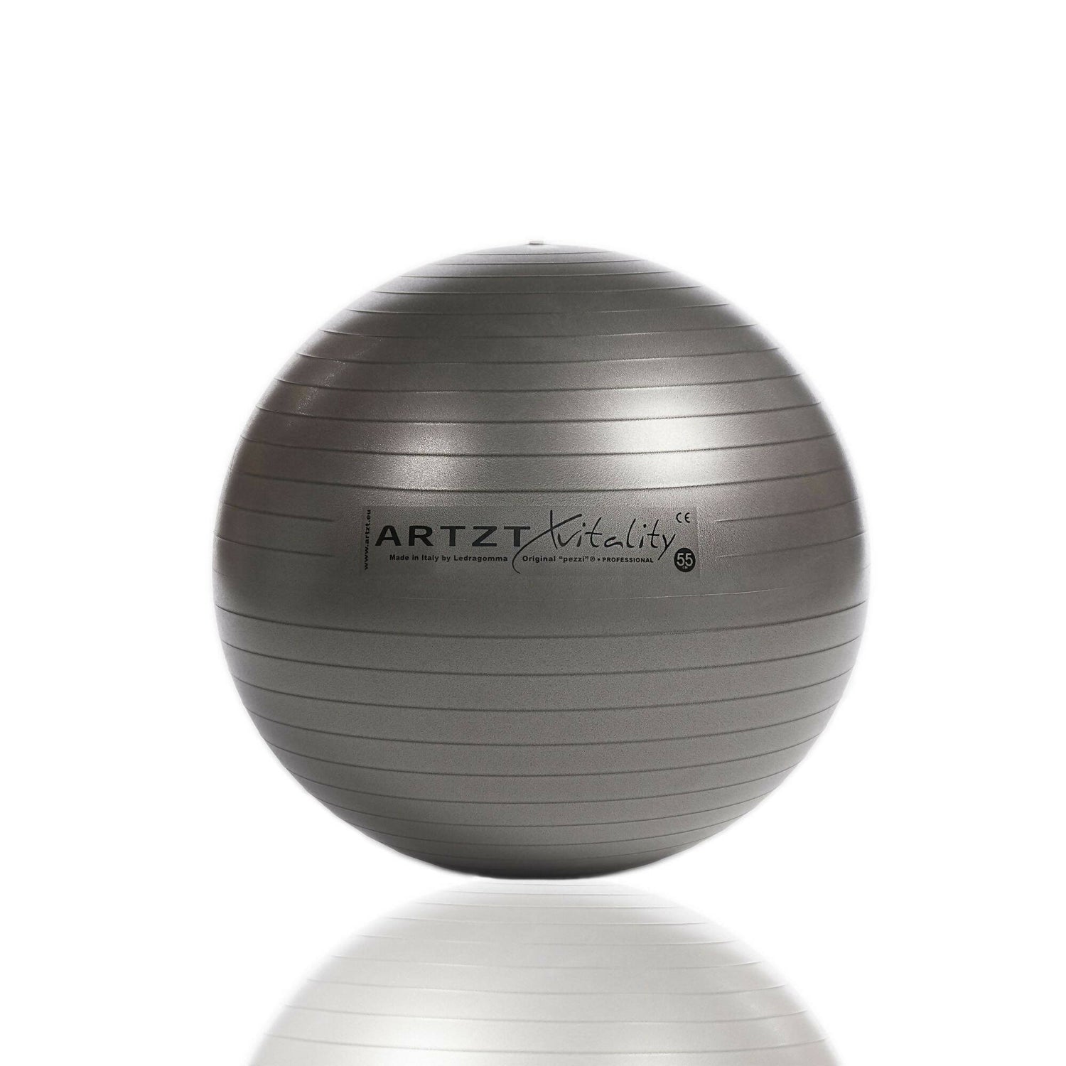 AV_Fitness-Ball_Professional_anthrazit_55cm