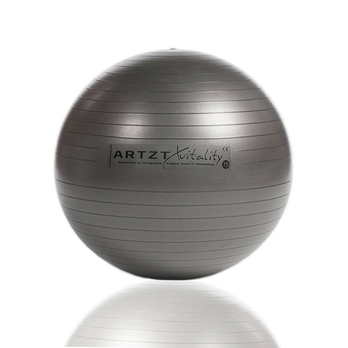 AV_Fitness-Ball_Professional_anthrazit_75cm