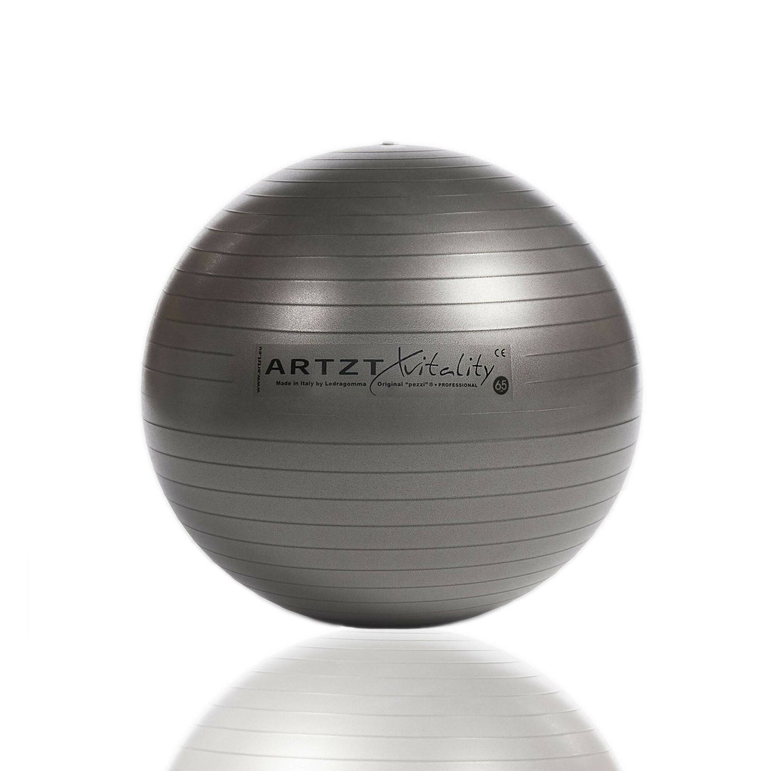 AV_Fitness-Ball_Professional_anthrazit_65cm